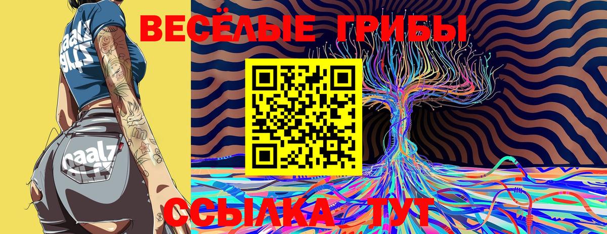 Галлюциногенные грибы прущие грибы Новый Уренгой