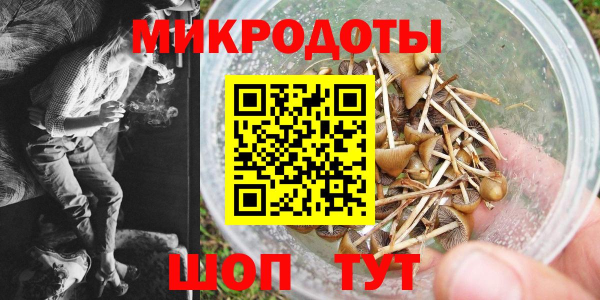 купить наркоту  Псилоцибиновые грибы MAGIC MUSHROOMS  Галлюциногенные грибы прущие грибы  Вход с VPN  Новый Уренгой 